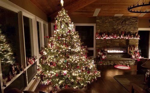 Here's what you can do with your Christmas tree now that the holiday is over