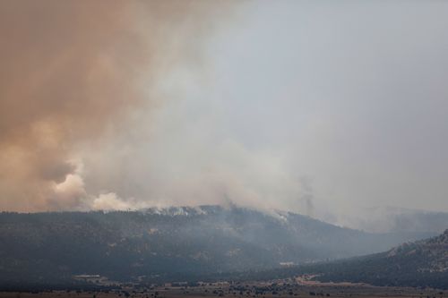 New Mexico wildfires spread rapidly as state faces critical fire threat - Vimarsana News