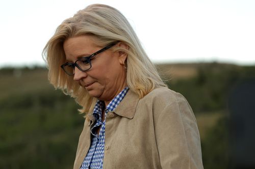 How Liz Cheney lost Wyoming's lone seat in the House - Vimarsana News
