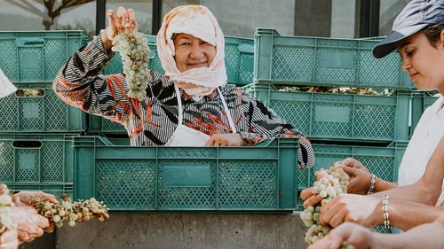 After 7,000 years, Turkish wines are hitting the big time - Vimarsana News