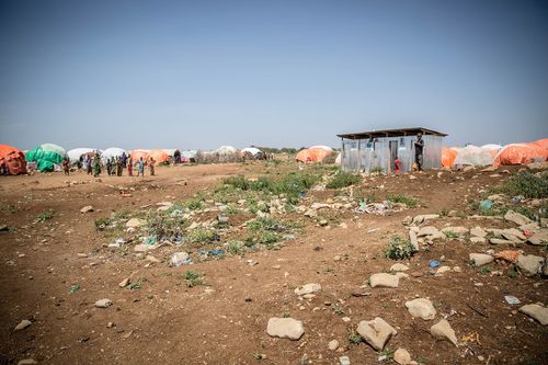 Russia's war in Ukraine sparked a historic food crisis. It's not over - Vimarsana News