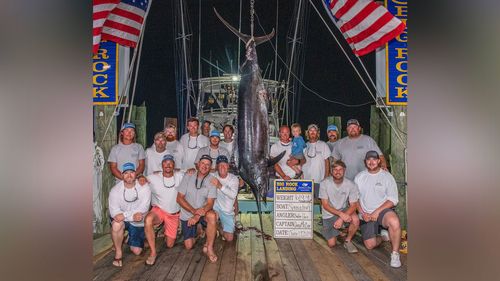 Captain of fishing boat disqualified for 'mutilated' marlin says the win was 'taken away from us' - Vimarsana News