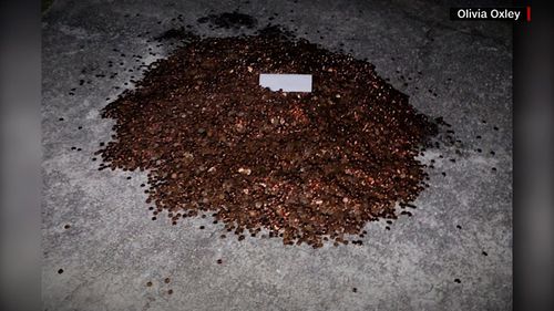 Autoshop owner who dumped 500 pounds of oily pennies on ex-employee's driveway is ordered to pay additional back wages - Vimarsana News