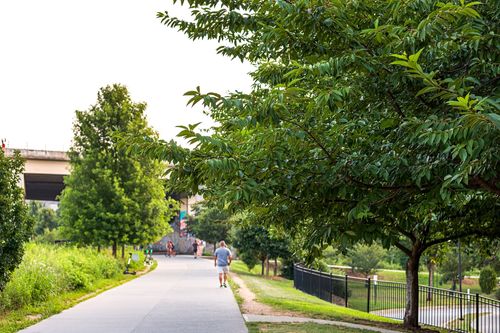 Why cities want to ban new drive-thrus - Vimarsana News