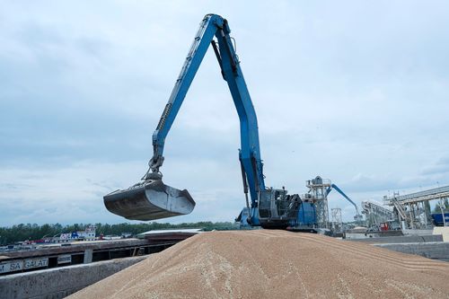 Higher food prices and more hunger: Collapse of Black Sea grain deal poses a massive threat - Vimarsana News