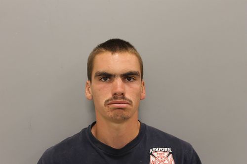 Firefighter charged with arson after confessing to setting multiple fires in Arizona, sheriff's office says - Erie News Now - Vimarsana News