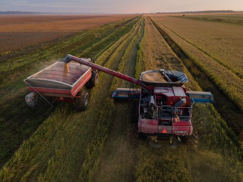 India's recent rice ban sent people into a panic. Here's what's going on now - Erie News Now - Vimarsana News