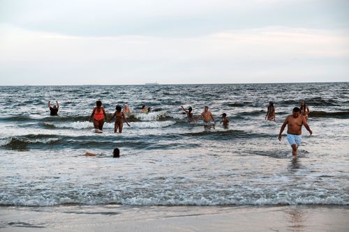 Multiple possible shark sightings at New York beaches Tuesday, a day following apparent shark attack - Vimarsana News