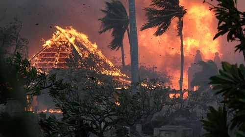 One of the largest banyan trees in the US and a 200-year-old church are among the beloved landmarks imperiled by Maui's wildfires - Erie News Now - Vimarsana News
