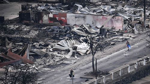 How a devastating combination of conditions triggered America's deadliest wildfire in more than a century - Erie News Now - Vimarsana News
