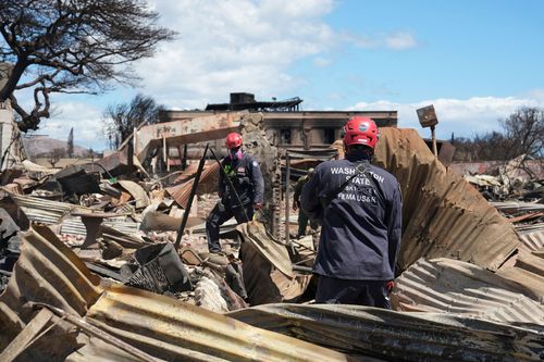 Maui wildfires death toll rises to 110 as official says using the warning sirens wouldn't have saved lives - Erie News Now - Vimarsana News