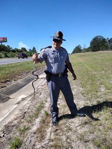 Trooper pulls snake out of woman's car 'like it was a cute little kitten'