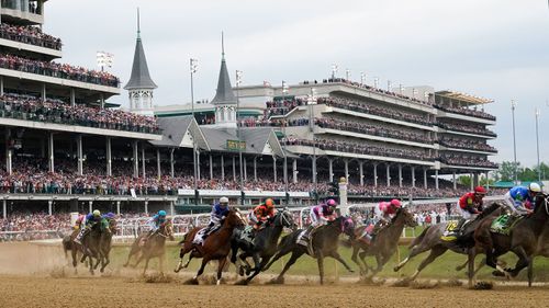 No identifiable relationship between deaths of 12 horses at Kentucky racetrack, investigation says - Vimarsana News