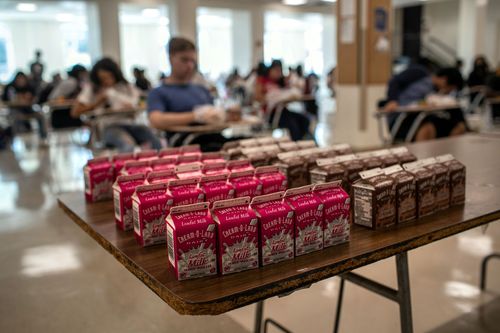 A milk carton shortage has schools scrambling. Here's what's going on - Vimarsana News