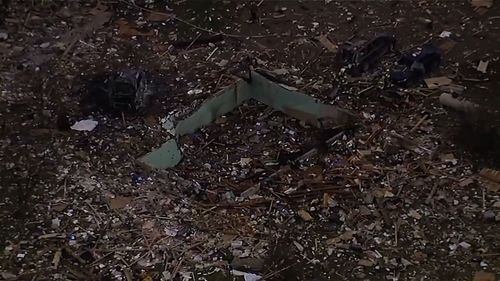 Forestry scientist, his wife and adult children, described as 'ambassadors' of archaeology, killed in Michigan home explosion - Vimarsana News