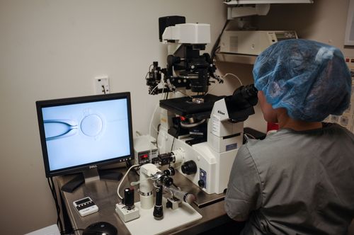 Alabama attorney general's office says it has 'no intention' to prosecute IVF families, providers - Vimarsana News