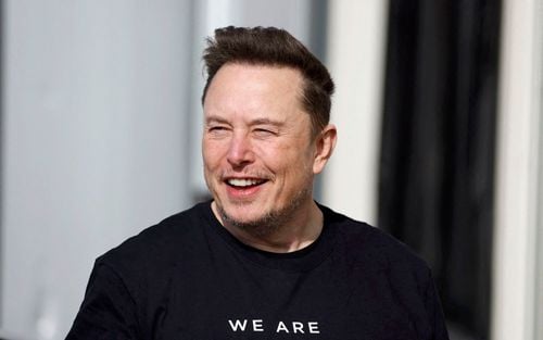 'We have reached the limit.' Clash with Elon Musk prompts calls for ...