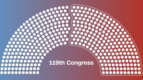House Speaker Johnson's Slim Majority Shrinks After Virginia Special Election