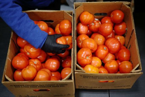 Brian Snyder/Reuters via CNN Newsource