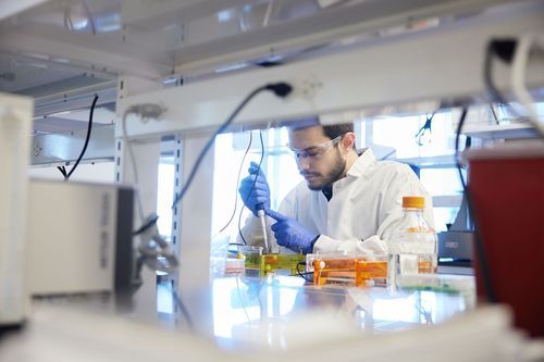 Courtesy Fractyl Health via CNN Newsource