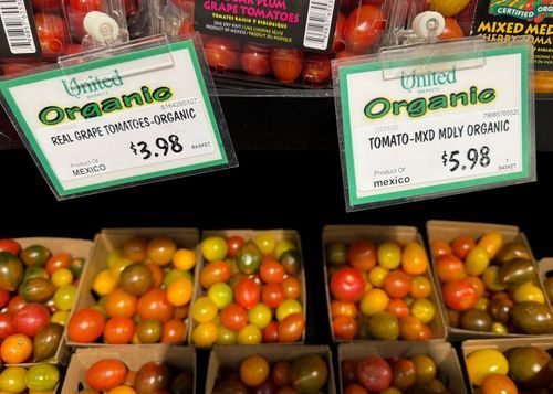 Justin Sullivan/Getty Images/File via CNN Newsource